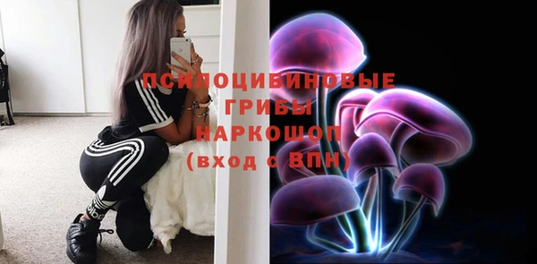 2c-b Белокуриха