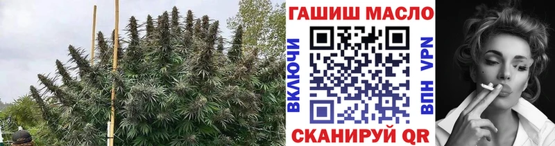 Дистиллят ТГК концентрат  Купить закладки  Темрюк 