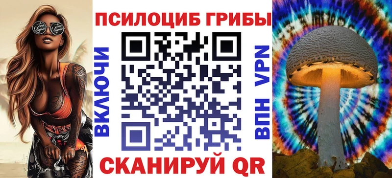 Купить  Темрюк  Псилоцибиновые грибы мицелий 